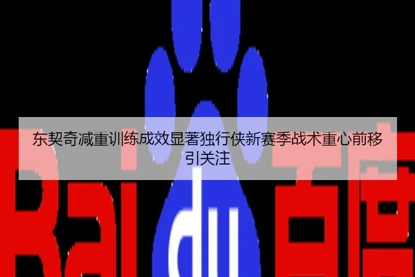 东契奇减重训练成效显著独行侠新赛季战术重心前移引关注